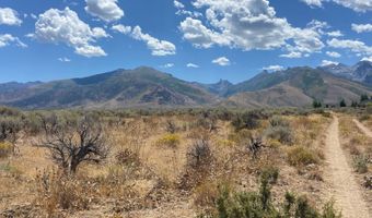 80 21 Acres A, Lamoille, NV 89828