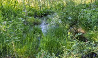 28 Mile Rd, Albion, MI 49224