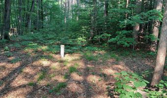 5090 Swamp Rd, Alden, MI 49612