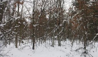 VL Good, Alger, MI 48610