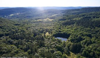 1855 Davis Hollow Rd, Andes, NY 13731