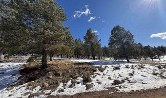 Lot 19 Buckskin Rd, Angel Fire, NM 87710