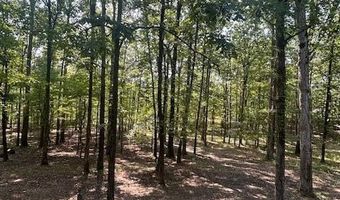 1196 Ranchland Rd, Belden, MS 38826