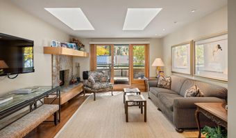 1020 E Hopkins Ave 9, Aspen, CO 81611