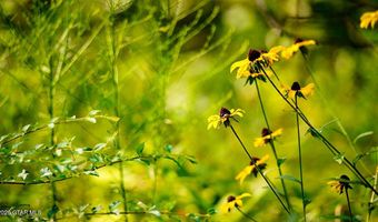 Cypress Pointe Drive lot 16, Brooksville, MS 39739