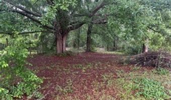 147 Doctors Point Rd, Abbeville, AL 36310