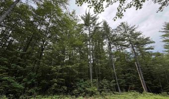 Rolling Ridge Road, Bartlett, NH 03812