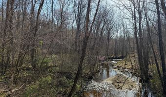 PAYNES POND RD, Arvonia, VA 23004