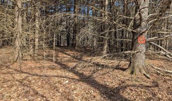M 3 - L 15-1 & 2 Prospect Mountain Road, Alton, NH 03809