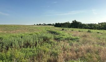 N 2550 Rd E 0920 Rd, Arapaho, OK 73620