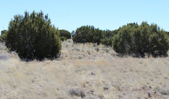 80 County Road 8620, Concho, AZ 85924