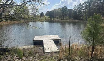 75 MARY LEE Ln, Alpine, AL 35014