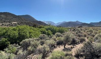 1220 SETTLER'S Way, Dyer, NV 89010