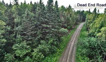 Lot 23 Mill Road, Bancroft, ME 04497