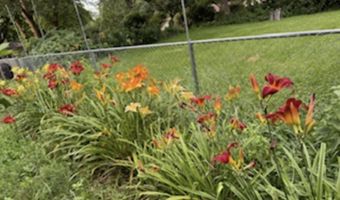 1606 Waddell, Atlantic, IA 50022