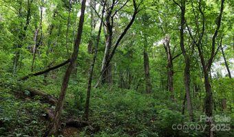 Killdevil Hill Lane unit 9 & 10 9 & 10, Bat Cave, NC 28792