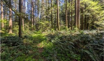 62955 E MOUNTAIN COUNTRY Ln, Brightwood, OR 97011