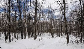 606 Log Lodge Rd, Winter, WI 54896