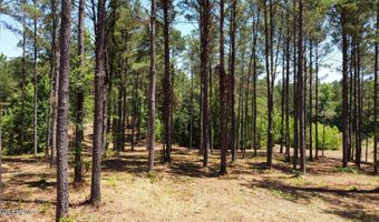 Mt Carmel, Bailey, MS 39320