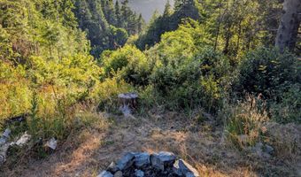 23506 CARPENTERVILLE Rd, Brookings, OR 97415