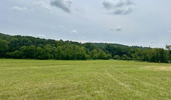 Fennell Rd, Blaine, TN 37709