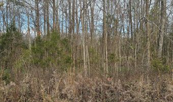 Lynn Lane Lot 23, Big Sandy, TN 38221