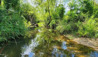 3350 SE Mount Pleasant Ln, Bogue Chitto, MS 39629