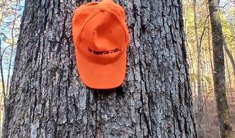 BLACKJACK ROAD lot 0, Argo, AL 35173