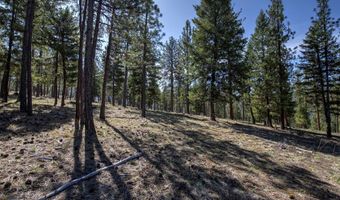 31760 HWY 10 W, Alberton, MT 59820