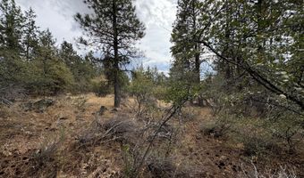 Nighthawk Drive 17 & 18, Bonanza, OR 97623
