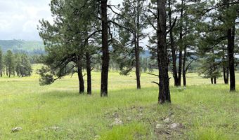 1 A FOREST ROAD 26, Alpine, AZ 85920