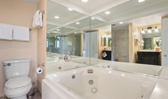 800 S Mill St 301C, Aspen, CO 81611
