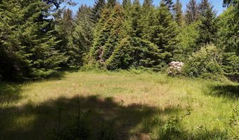 20452 Whaleshead Rd, Brookings, OR 97415