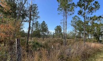 Virginia Drive, Atmore, AL 36502