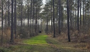 U.S. Highway 51, Bogue Chitto, MS 39629