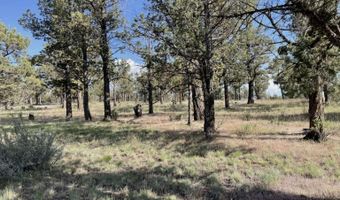 Hilltop Lane, Alturas, CA 96101