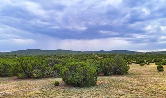 9 County Road 3036, Concho, AZ 85924