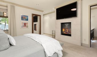 509 W Hopkins Ave, Aspen, CO 81611