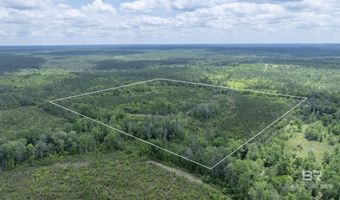 Phillipsville Road, Bay Minette, AL 36507