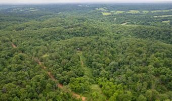 14 5 Neil Robinson Rd, Anderson, MO 64831