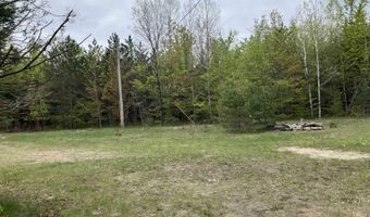 9718 NE FOREST LANE Dr, Alden, MI 49612
