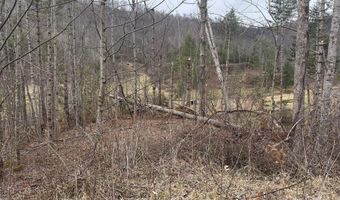 99999 Mountain Crest Dr, Bakersville, NC 28705