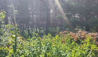 Lot 113 Beaver Lane, Arkdale, WI 54613