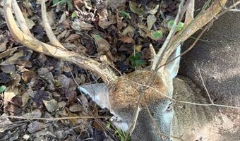 TBD Binnicker Bridge Road, Bamberg, SC 29003