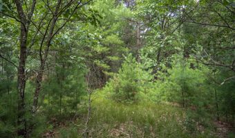 1617 20th Ave Lot 4, Arkdale, WI 54613