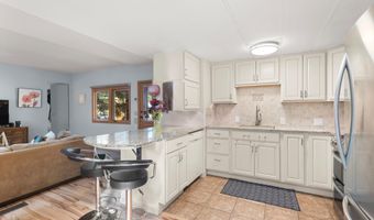 311 Oak Ln, Aspen, CO 81611