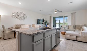 355 MANGROVE SHADE Cir, Apollo Beach, FL 33572