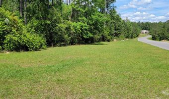 NHN Spring Oak Dr, Carriere, MS 39426