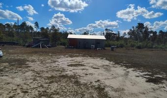 22884 NW Lake Mckinzie Blvd, Altha, FL 32421