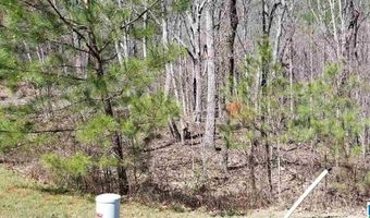 Lot 40 AUTUMN VIEW DRIVE 40, Chelsea, AL 35147